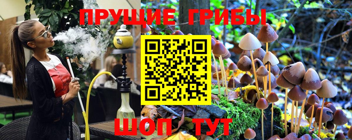 Галлюциногенные грибы MAGIC MUSHROOMS  Вход с VPN  Новочеркасск  Псилоцибиновые грибы прущие грибы 
