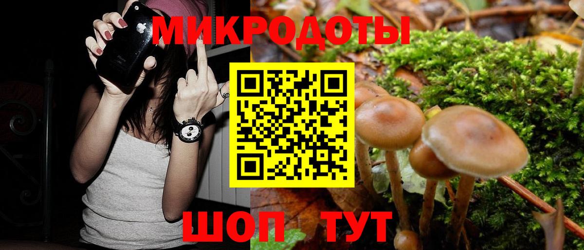 Галлюциногенные грибы мухоморы Новочеркасск